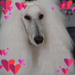 Meet your Posher, Jayda